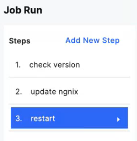 The Job Run panel showing three steps: check version, update nginx, and restart highlighted as the active step.